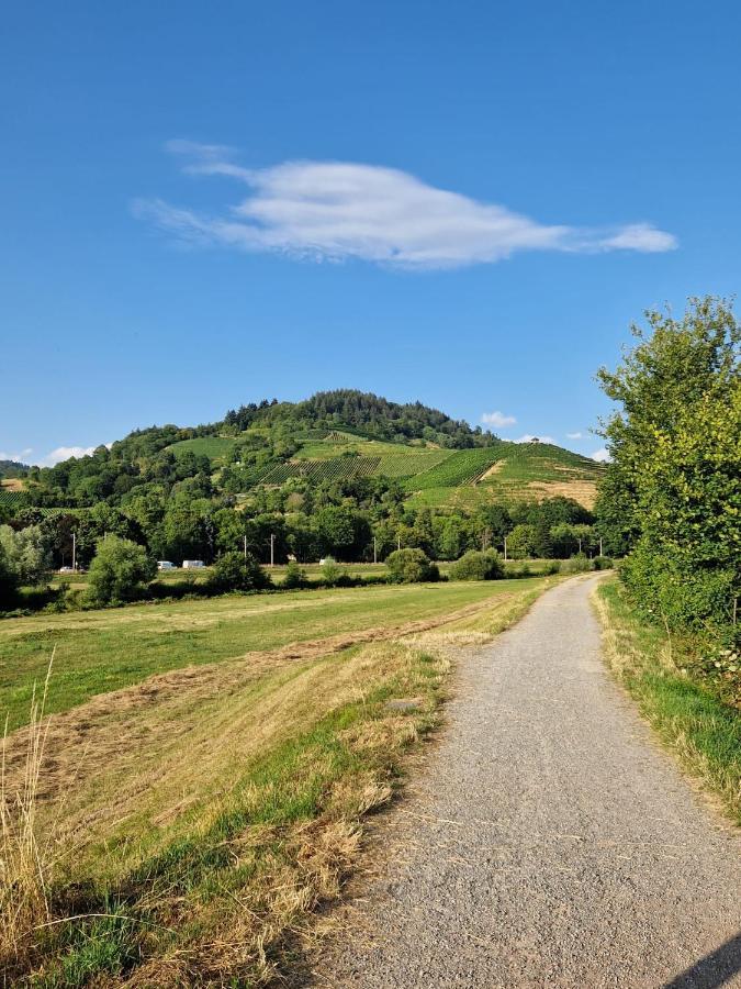 Ferienwohnung Blumenfeld Gengenbach Bagian luar foto